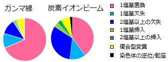 ガンマ線炭素イオンビーム違い