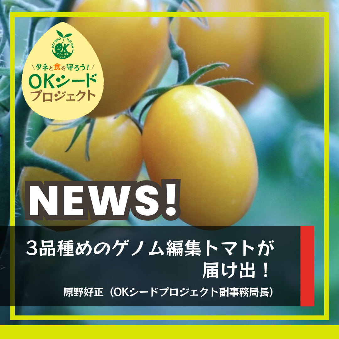 写真はイメージ画像です。