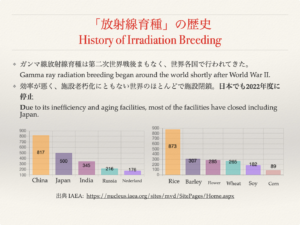 放射線の歴史（古いガンマ線による突然変異育種）